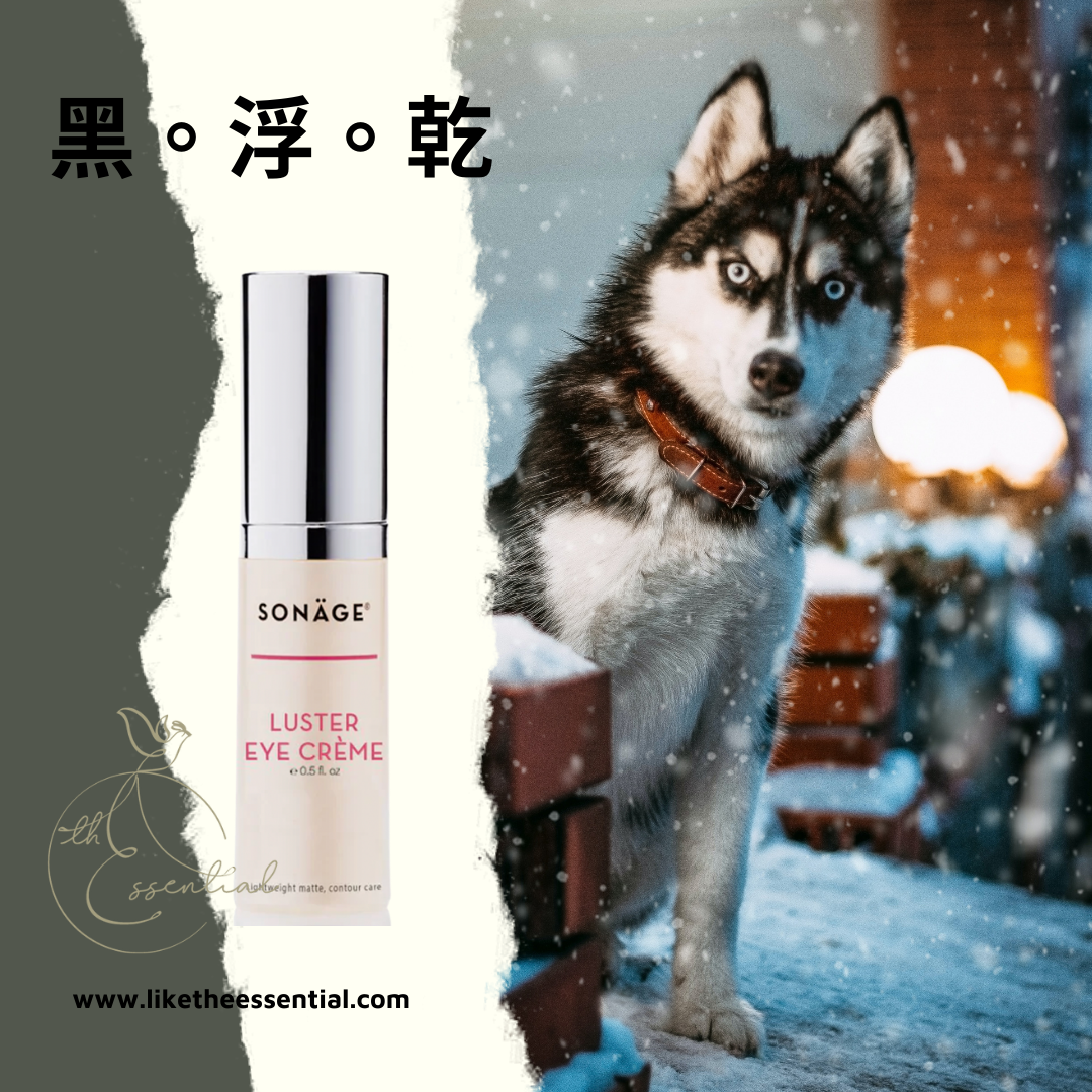 黑。浮。乾