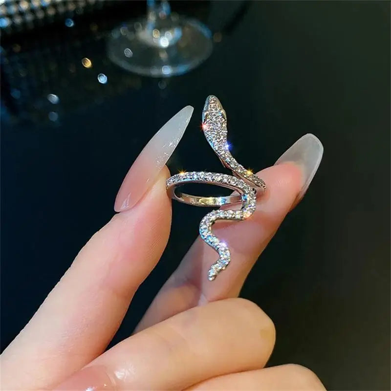 RAKOL Snake Ring Micro Inlaid Zircon Wound Small Female Simplicity Minority Designer Fashion Index Finger Ring